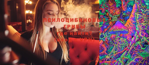 бошки Армянск